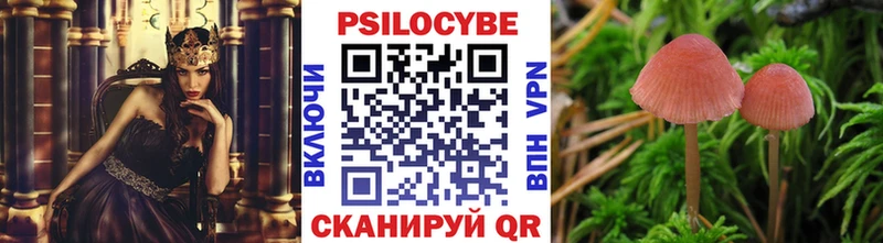 Галлюциногенные грибы ЛСД гидра маркетплейс Лысково